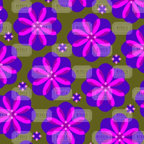 Florinda - Image 5